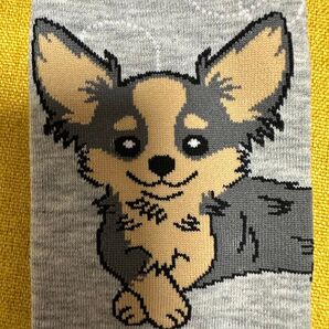新着在庫1 可愛いおすましチワワ靴下ソックス23〜25㎝ ショート丈レディースソックス 靴下 ペットボトルカバーにも