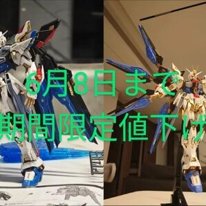 MGEX サイズ 1/100 ストライクフリーダム 2体セット