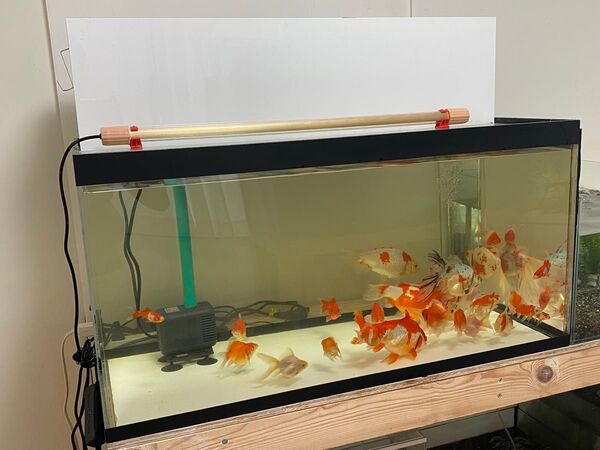 アクリル水槽90センチと上部フィルターセット