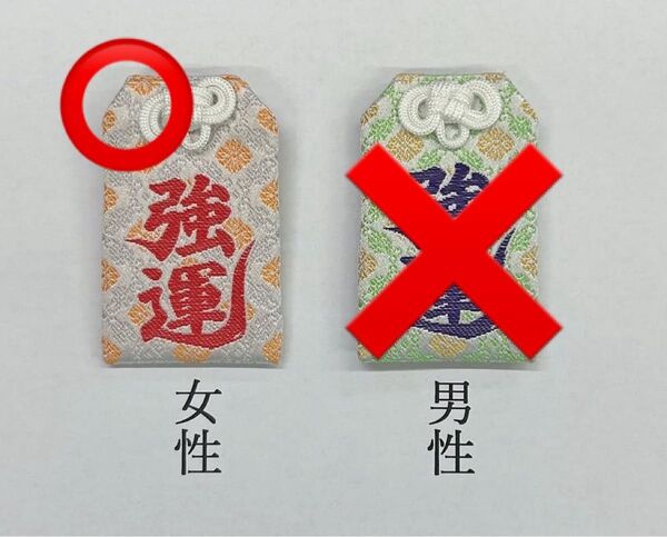 芝大神宮 強運御守 2025 女性用 1体