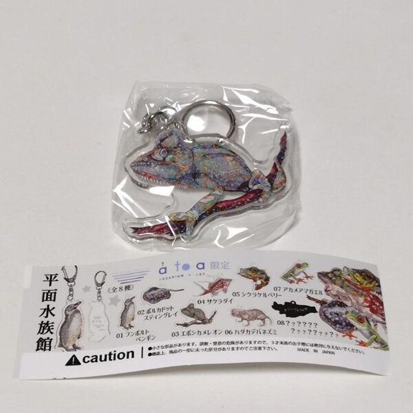 水族館 ガチャ ガシャポン カプセルトイ平面水族館 カプスタリウム atoa 限定 エボシカメレオン