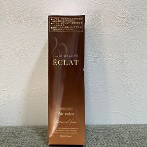 エクラ ヘアボーテ ボタニカル エアカラーフォーム ダークブラウン 150g 1本