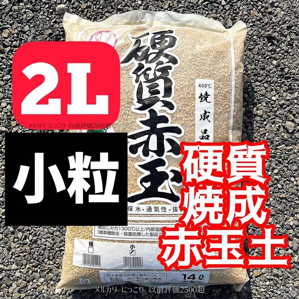 硬質 焼成 赤玉土 2L グラキリス アガベ 多肉植物 サボテン 観葉植物 塊根植物 硬質赤玉土