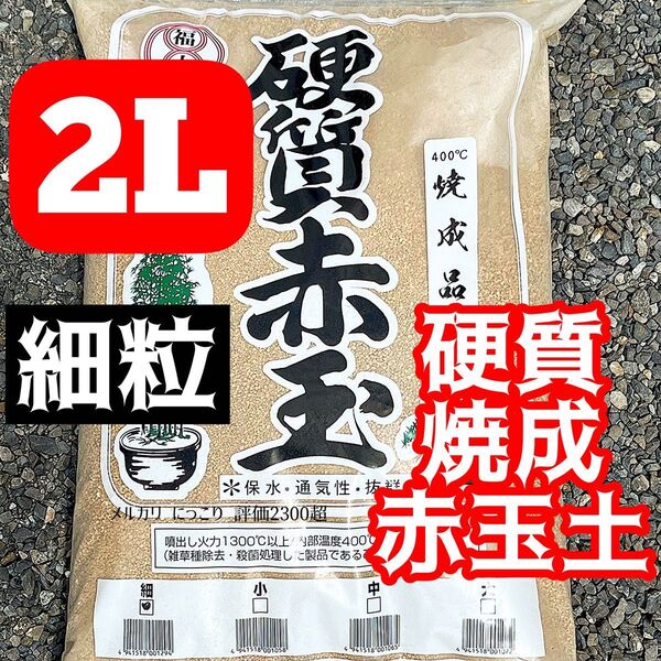 細粒 硬質赤玉土 2L グラキリス アガベ 多肉植物 サボテン 観葉植物 塊根植物 硬質赤玉土