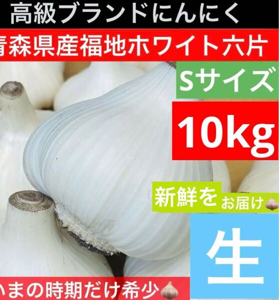 青森 県産 生にんにく Sサイズ 10kg 福地ホワイト六片 生ニンニク