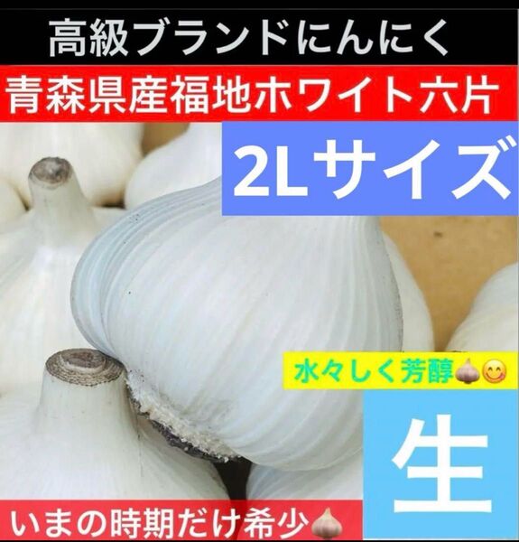 青森 県産 生にんにく 2Lサイズ 800g 福地ホワイト六片 生ニンニク
