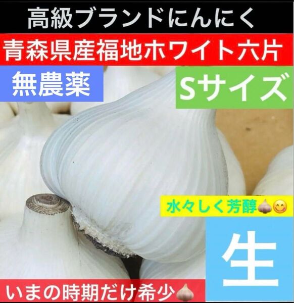 青森 県産 生にんにく Sサイズ 1kg 福地ホワイト六片 生ニンニク