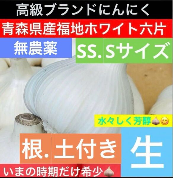 無農薬 青森県産 生にんにく S.SSサイズ 20kg 福地ホワイト六片