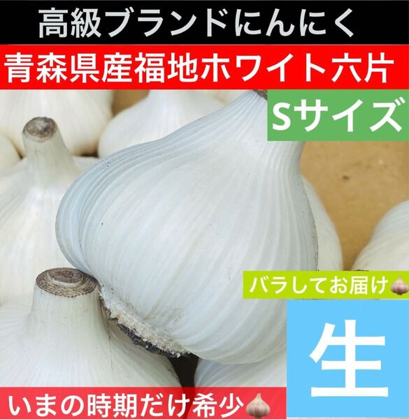 青森 県産 生にんにく Sサイズ 1kg 福地ホワイト六片 生ニンニク