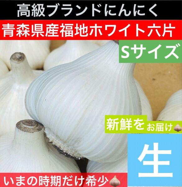 青森 県産 生にんにく Sサイズ 1kg 福地ホワイト六片 生ニンニク