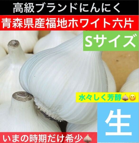 青森 県産 生にんにく Sサイズ 1kg 福地ホワイト六片 生ニンニク