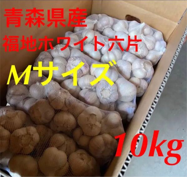 青森県産 乾燥にんにく M サイズ 福地ホワイト六片黒にんにく おすすめ