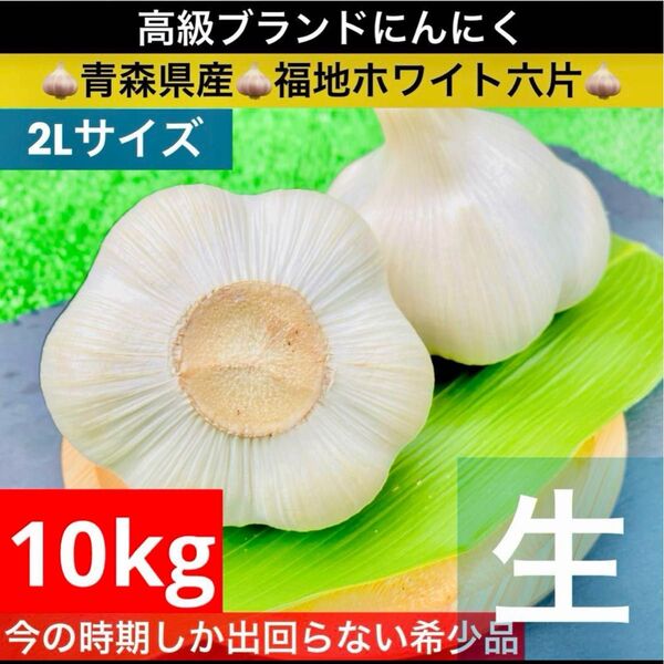 青森県産 生にんにく 2Lサイズ 10kg 福地ホワイト六片 生ニンニク