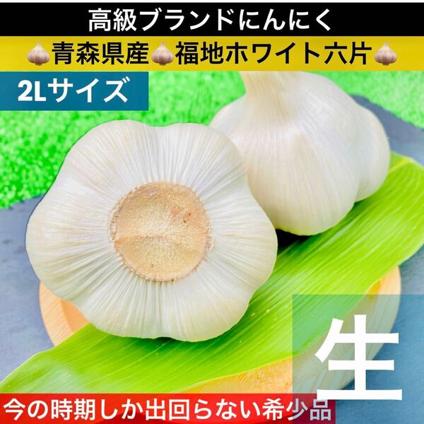 青森県産 生にんにく 2Lサイズ 800g 福地ホワイト六片 生ニンニク
