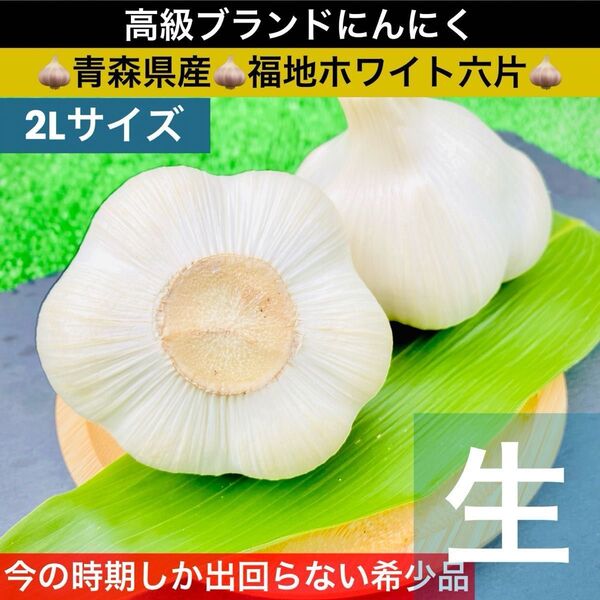 青森県産 生にんにく 令和7年産 2Lサイズ 1kg 福地ホワイト六片 ニンニク