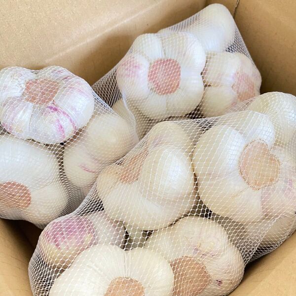 青森県産 生にんにく 令和7年産 Lサイズ 1kg 福地ホワイト六片 ニンニク
