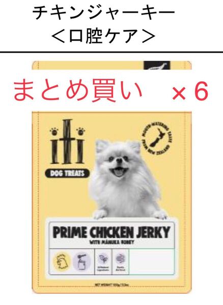 イティ iti 6袋セット チキン 口腔ケア