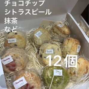 スコーン 翌日配達地域のみ お好み 12個 自由に 国産重視 茨城県近隣 限定 チョコ 抹茶 そば など