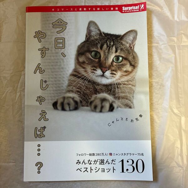 今日、やすんじゃえば…? サプライズBOOK ネコ 猫 写真 本 書籍 写真集 コンビニ本 インスタ 人気猫 癒し かわいい