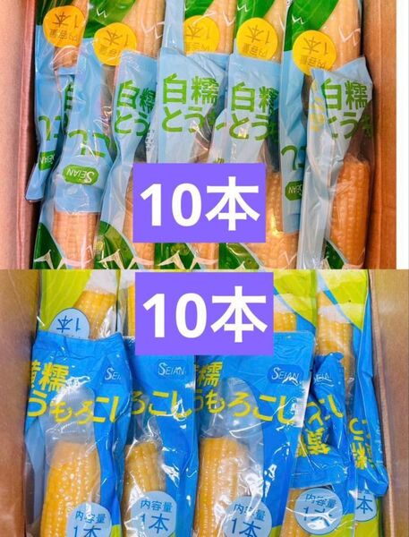 白糯とうもろこし軸付き 粘玉米 白玉米 10本 黄糯とうもろこし もち黄玉米 10本