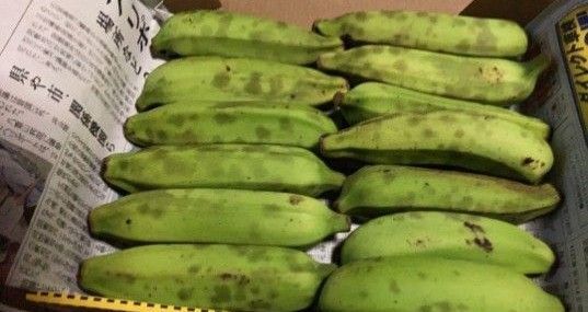 石垣島産 自然栽培 アップルバナナ【1kg】