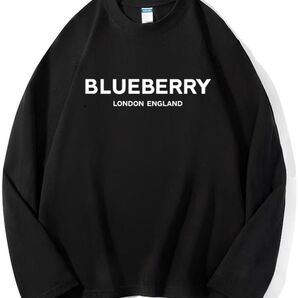 BLUEBERRY 面白い 長袖 おもしろ tシャツ 秋服 メンズ カットソー ティーシャツ 服 ゆったり メンズ ファッション