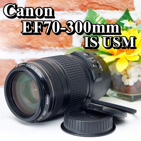 【即購入で700円OFF】 Canon EF 70-300mm IS USM 超望遠レンズ 手振れ補正付 キヤノン キャノン