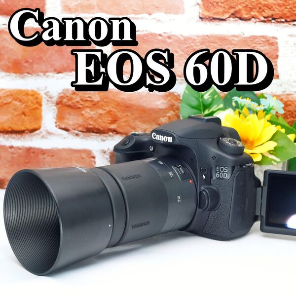 【即購入で800円OFF】ショット数わずか Canon EOS 60D キャノン キヤノン 望遠レンズセット 高性能ハイアマチュア