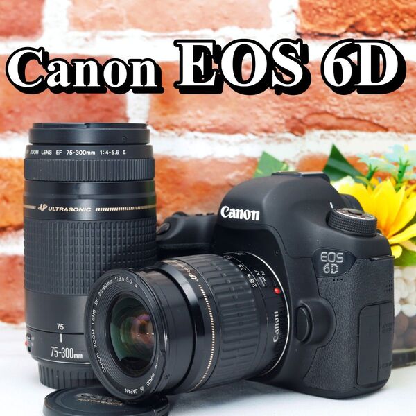 【即購入で800円OFF】 Canon EOS 6D キャノン Wi-Fi搭載 フルサイズ 超望遠レンズ搭載 ダブルレンズ USM