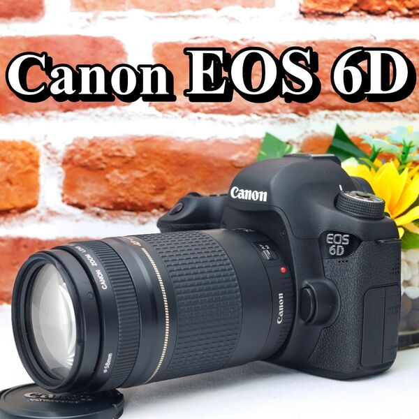 【即購入で800円OFF】 Canon EOS 6D 大人気のフルサイズ Wi-Fi搭載 超望遠レンズセット キャノン キヤノン