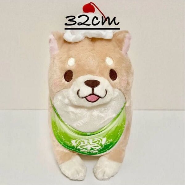 忠犬もちしば クリームソーダBIGぬいぐるみ きなこ 32cm