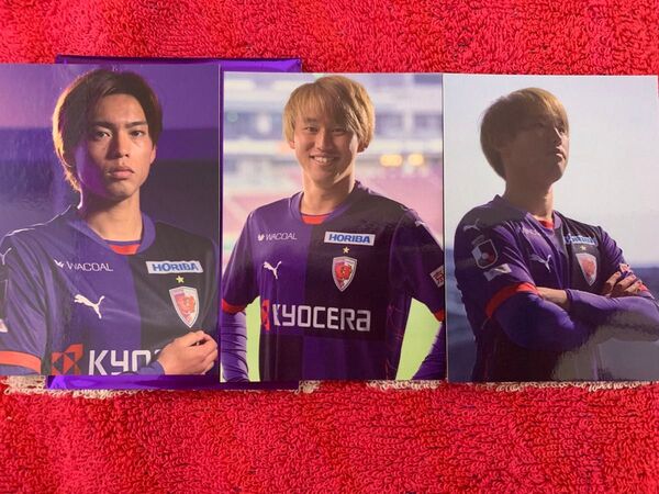京都サンガ Fly High 推しカード 福田心之助、福岡慎平 3枚セット
