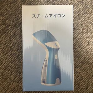 スチームアイロン HGS-01 1000W