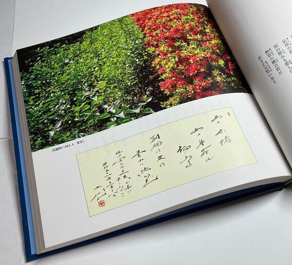 「青年の譜」詩と贈言 池田大作先生著 <未使用・新品> 1983年(昭和58年)発刊 初版本 ハードカバー 創価学会 希少 絶版