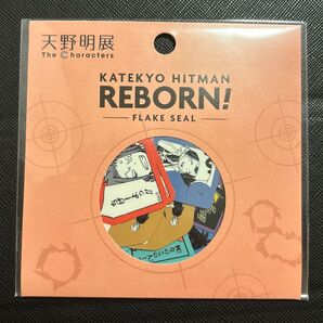 天野明展 家庭教師ヒットマンREBORN! フレークシール