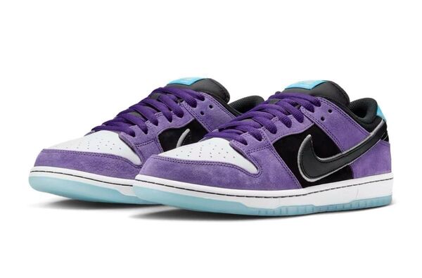 Hayley Wilson × Nike SB Dunk Low Pro Black and Court Purple 28CM