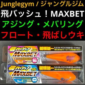 ジャングルジム 飛バッシュMAXBET フロート アジング メバリングセット シャローフリーク エクスパンダ アルカジックジャパン