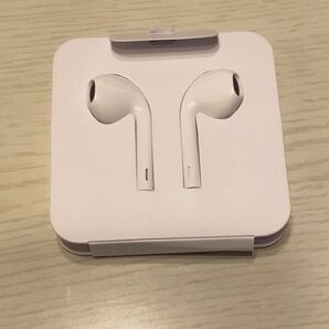 新品未使用 iPhone イヤホン タイプC iPad イヤフォン