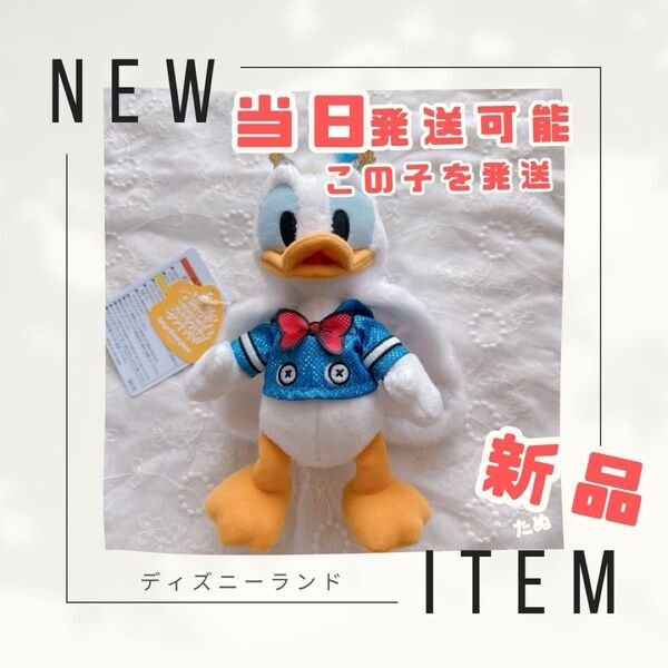 P様おまとめぬいぐるみバッジ 新品 ディズニー ドナパル パルパルーザ ドナルド 2025