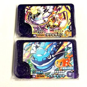 ポケモンフレンダ 第5弾 スーパートレジャー 2枚(タケルライコ、ヘイラッシャ)