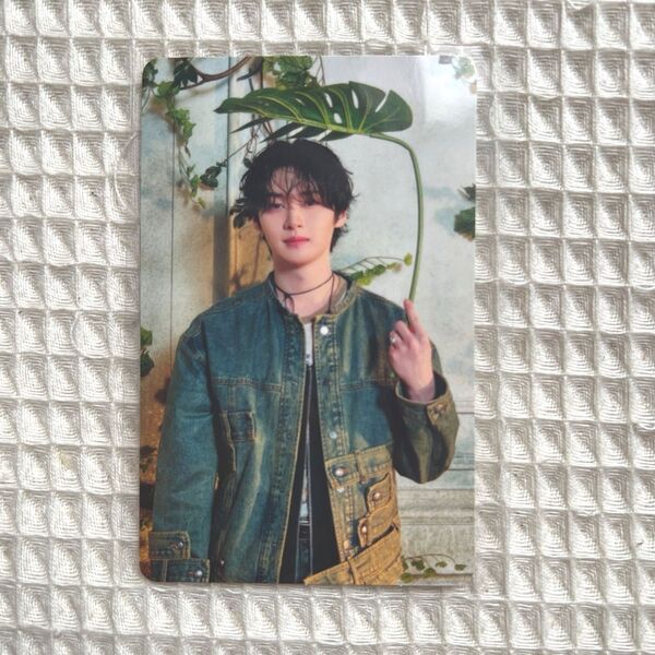 stray kids スキズ Hollow 初回生産限定盤 A トレカ リノ