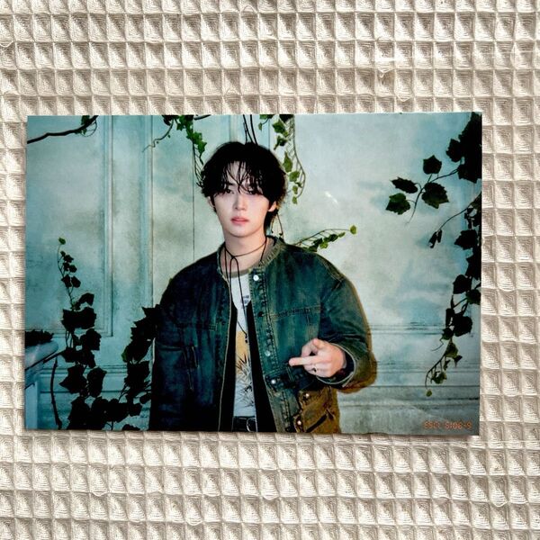 stray kids スキズ Hollow 期間生産限定盤 ブロマイドカード リノ