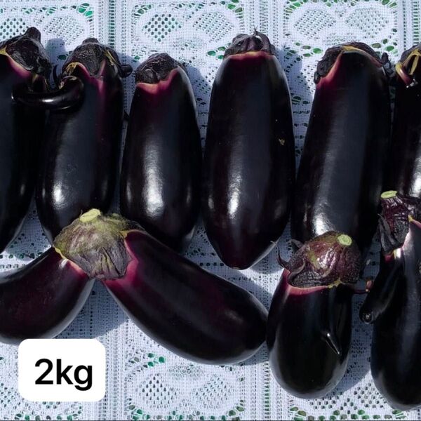 新鮮直送!なす2kg【訳アリ/美品】