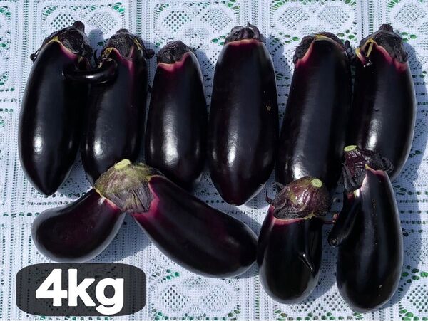 新鮮直送!なす4kg【訳アリ/美品】