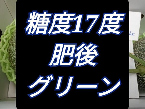 肥後グリーンメロン4Lサイズ2玉入り