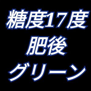 肥後グリーンメロン2玉入り