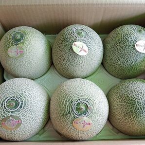レノンメロン6玉入