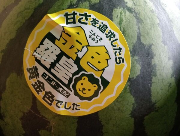 金色羅皇西瓜4Lサイズ1玉入り