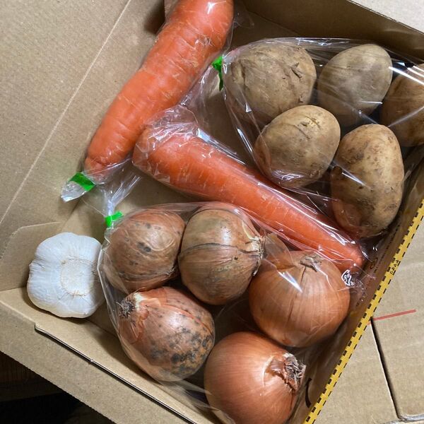 即買い歓迎!野菜詰め合わせ!じゃがいも玉ねぎSサイズにんじんにんにく!少し訳あり