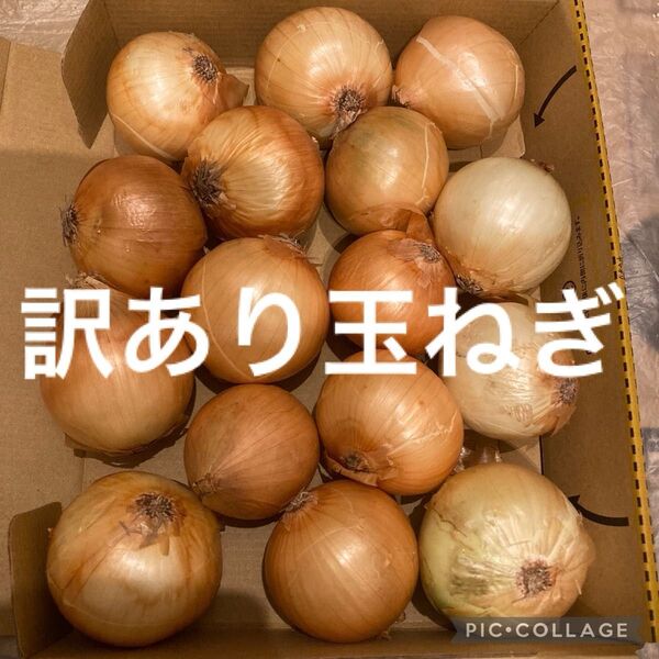 即買い歓迎野菜詰め合わせ!訳あり玉ねぎ!使い切りサイズ玉ねぎ